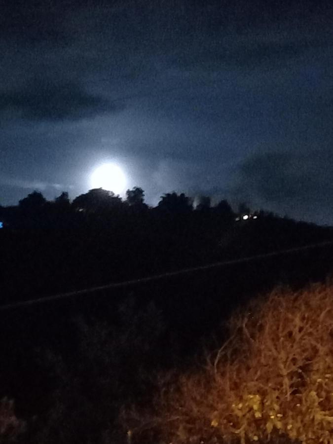 Chales Encantos De Cunha Azul Eksteriør billede